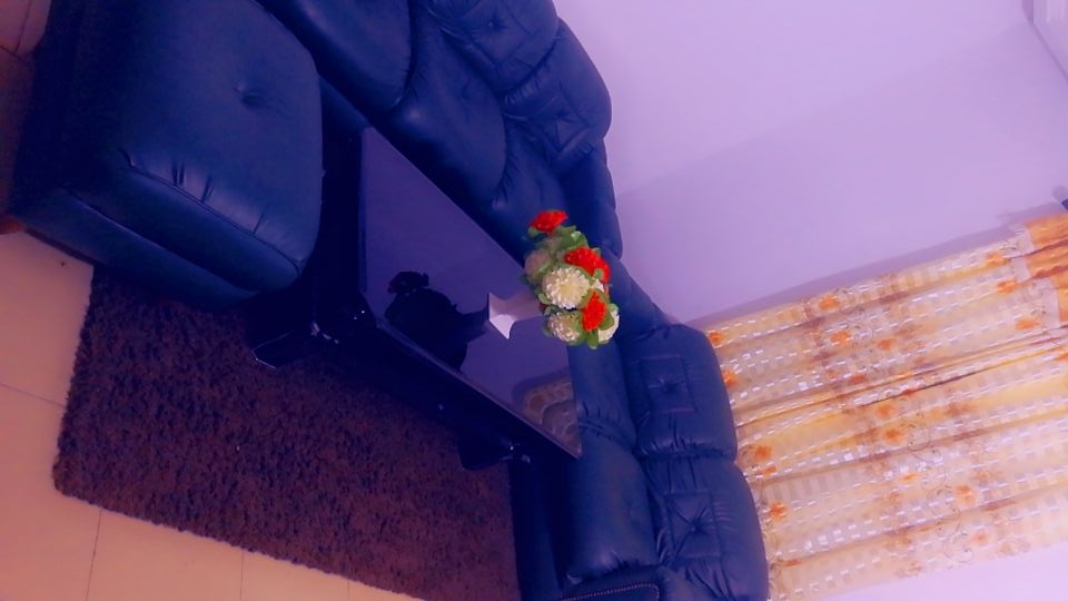 Appartement meublé à louer , Lome, tokoin