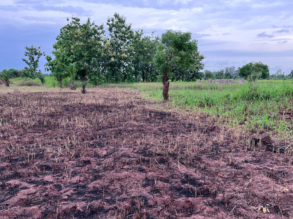 N° 5329 :
                            Terrain à vendre , Davie, Lome, Togo : 1 000  000 XOF/vie