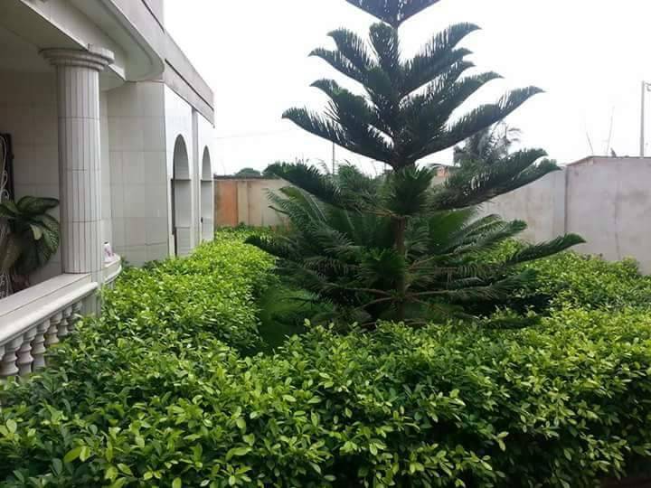 N° 4380 :
                            Villa à vendre , Agoe, Lome, Togo : 70 000  000 XOF/vie