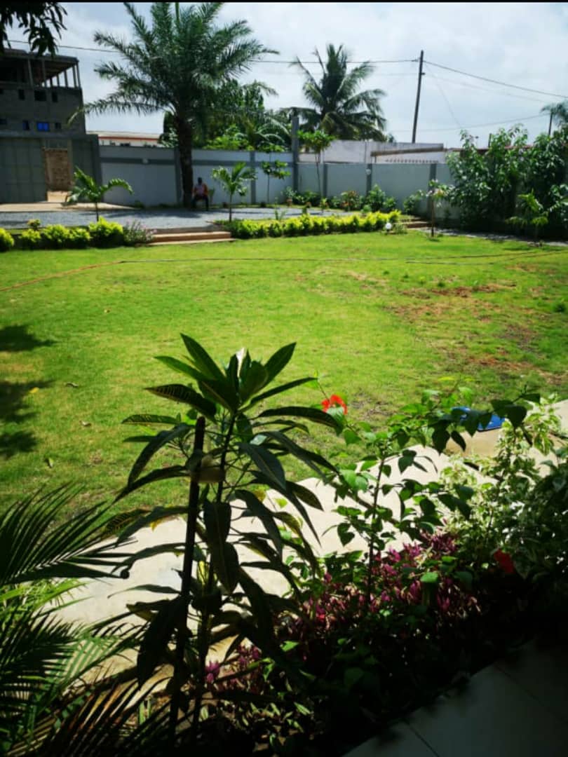 N° 5214 :
                            Appartement meublé à louer , Hedzranawoe, Lome, Togo : 350 000 XOF/mois