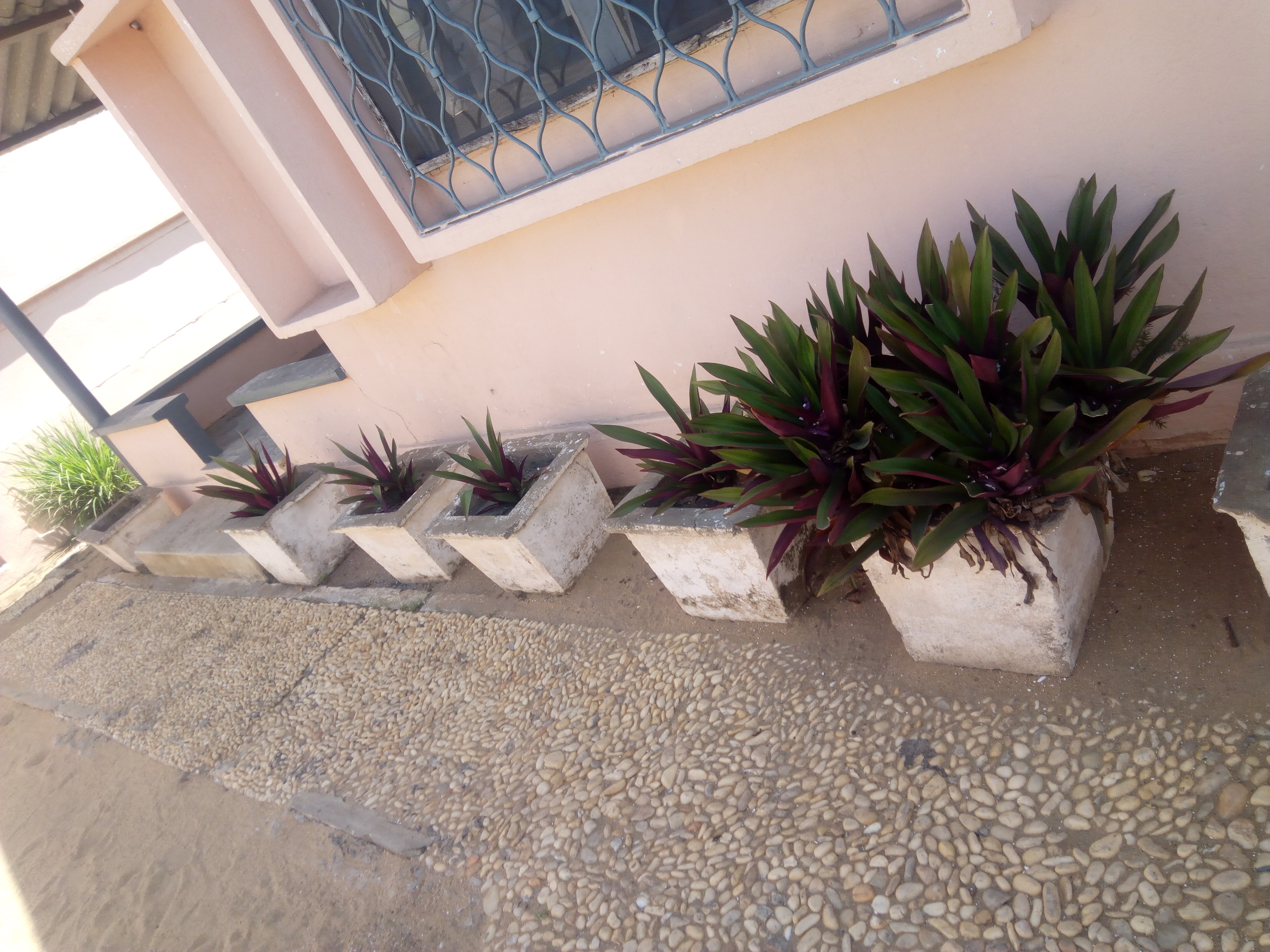 N° 4290 :
                            Villa à louer , Kodjoviakope, Lome, Togo : 200 000 XOF/mois