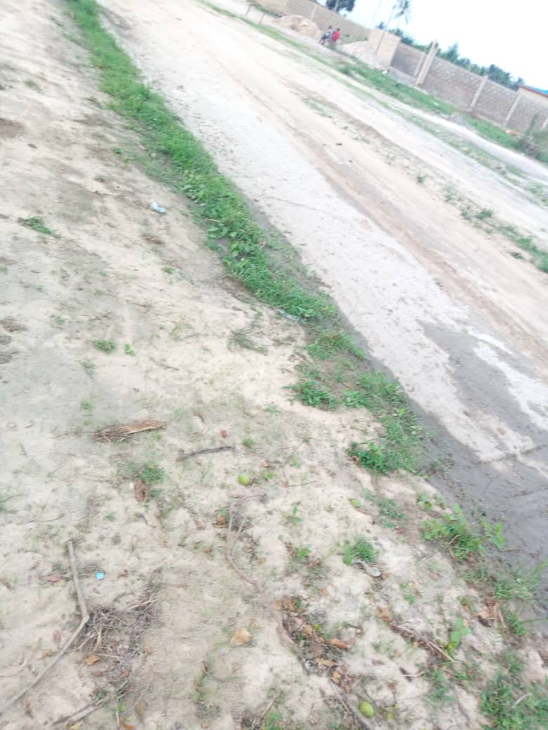 N° 4470 :
                            Terrain à vendre , Segbe, Lome, Togo : 4 000  000 XOF/vie