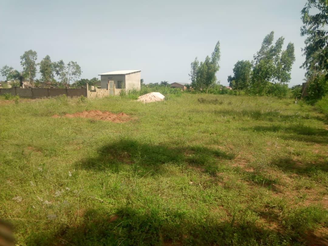 N° 4563 :
                            Terrain à vendre , Kleme agokpanou, Lome, Togo : 7 000  000 XOF/vie