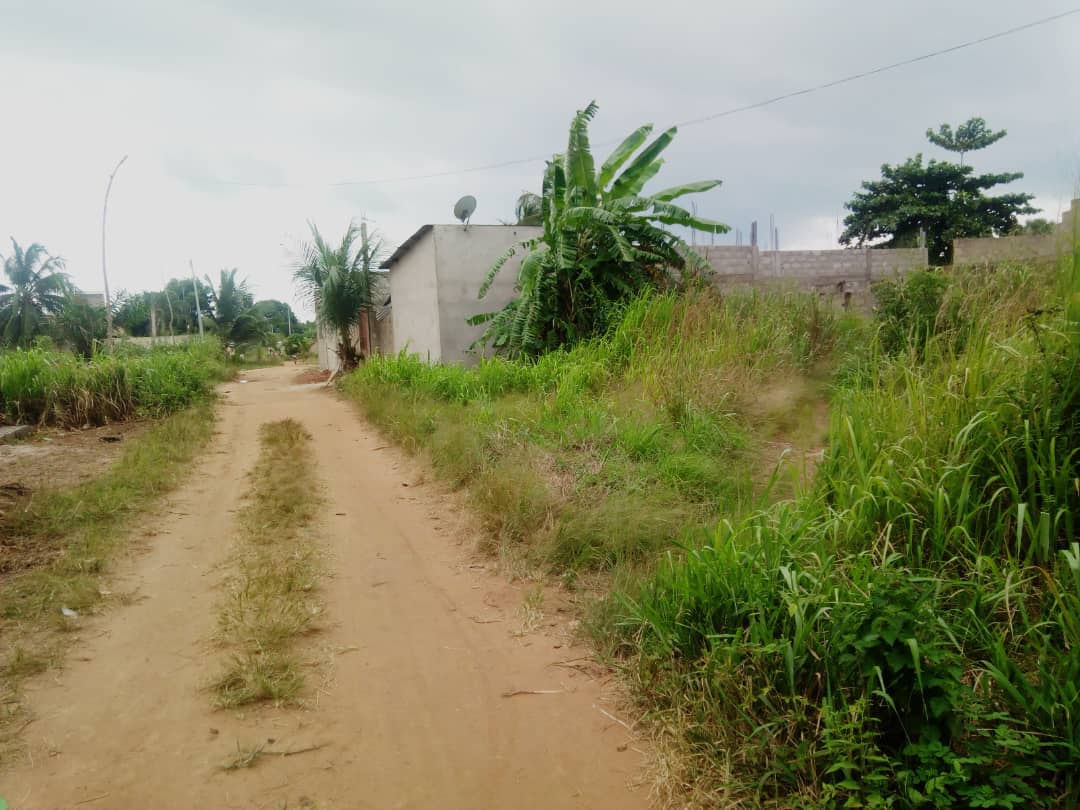 N° 4287 :
                            Terrain à vendre , Zanguera, Lome, Togo : 5 500  000 XOF/vie