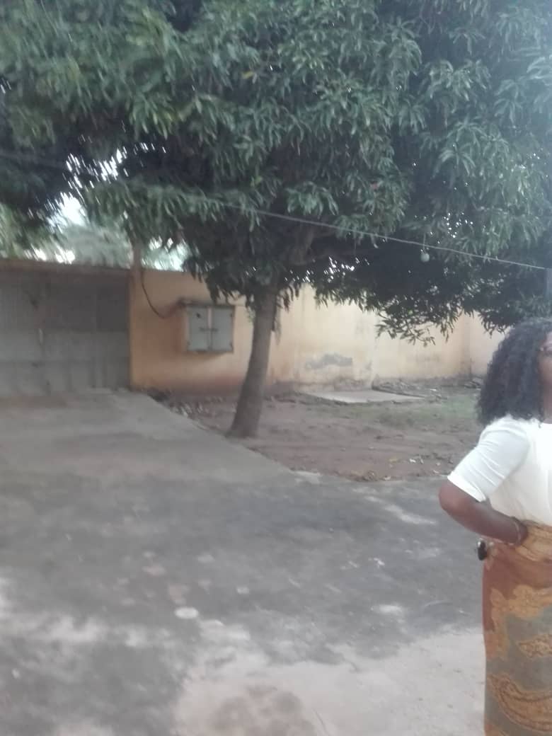 N° 4384 :
                            Villa à louer , Avenou, Lome, Togo : 100 000 XOF/mois