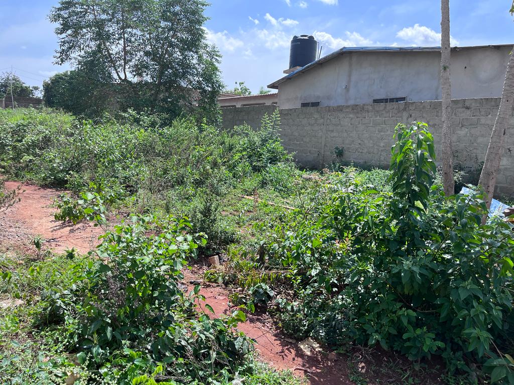 N° 5315 :
                            Terrain à vendre , Djagble, Lome, Togo : 3 500  000 XOF/vie
