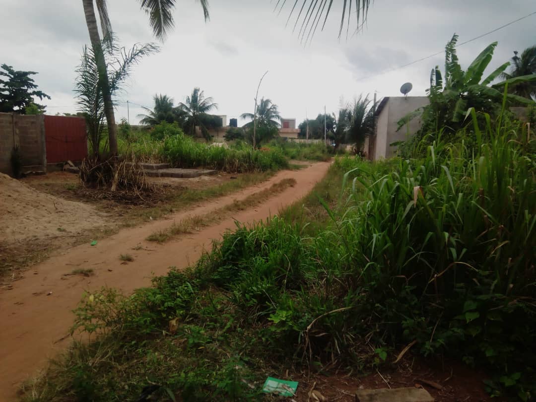 N° 4287 :
                            Terrain à vendre , Zanguera, Lome, Togo : 5 500  000 XOF/vie
