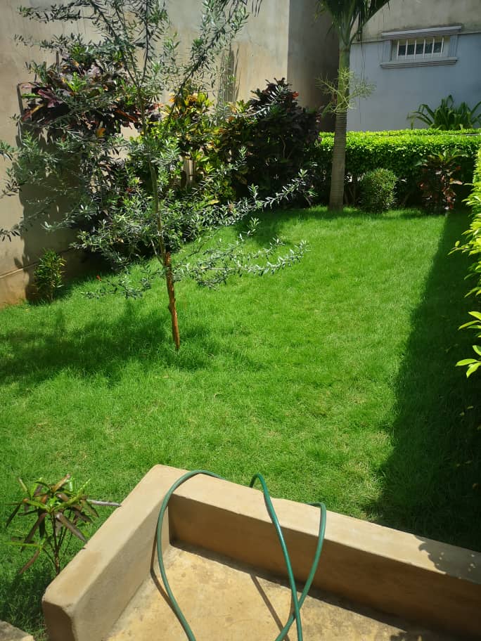 N° 5225 :
                            Appartement meublé à louer , Kegue, Lome, Togo : 150 000 XOF/mois