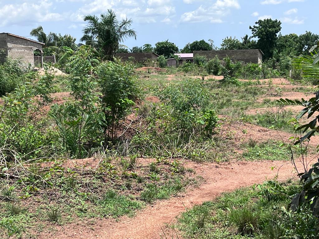 N° 5314 :
                            Terrain à vendre , Adetikope, Lome, Togo : 6 500  000 XOF/vie
