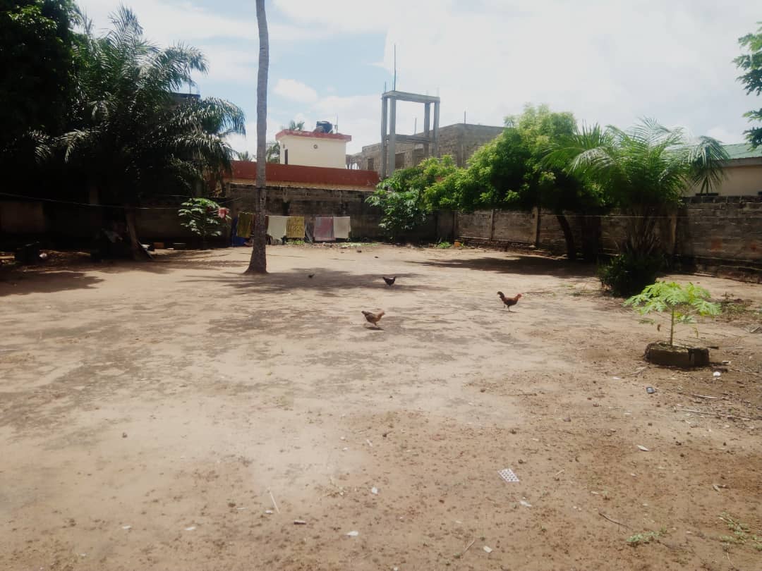Terrain à bailler , Lome, sagbado