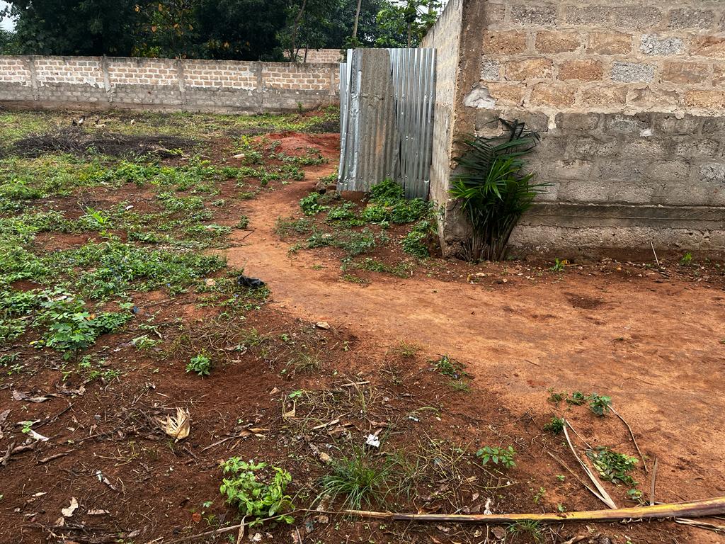 N° 5261 :
                            Terrain à vendre , Zanguera, Lome, Togo : 27 000  000 XOF/vie