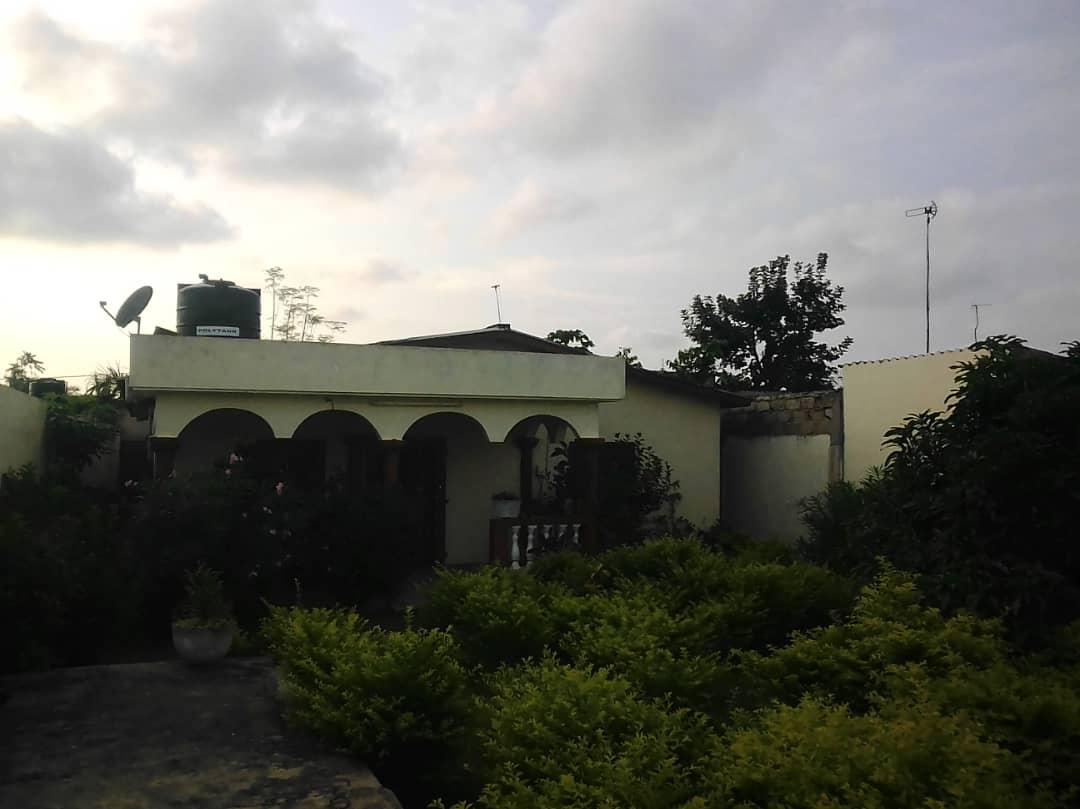 N° 4320 :
                            Villa à louer , Adidogome, Lome, Togo : 65 000 XOF/mois
