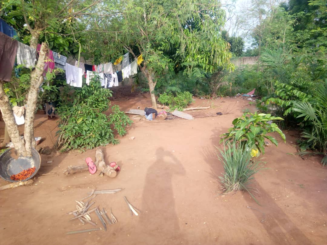 N° 4493 :
                            Terrain à vendre , Segbe, Lome, Togo : 9 000  000 XOF/vie
