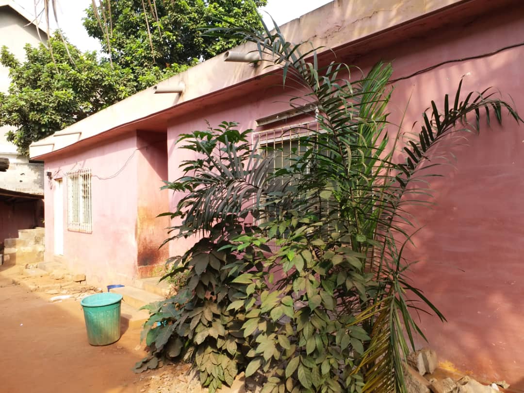 N° 4431 :
                            Villa à vendre , Hedzranawoe, Lome, Togo : 50 000  000 XOF/vie