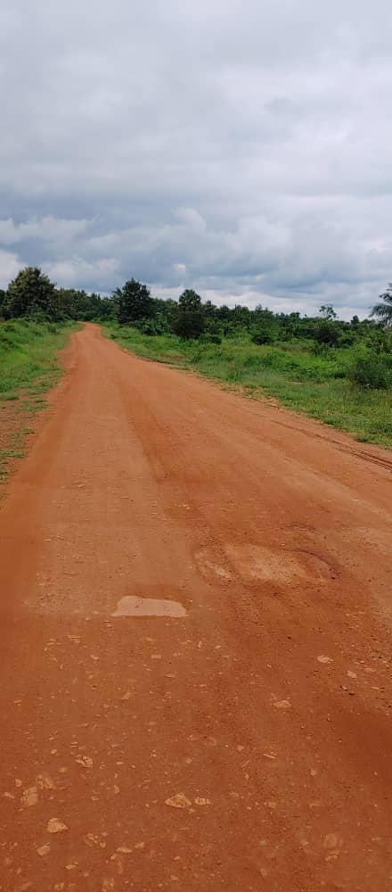 N° 5403 :
                            Terrain à vendre , Avetonou, Kpalime, Togo : 550 000 XOF/vie