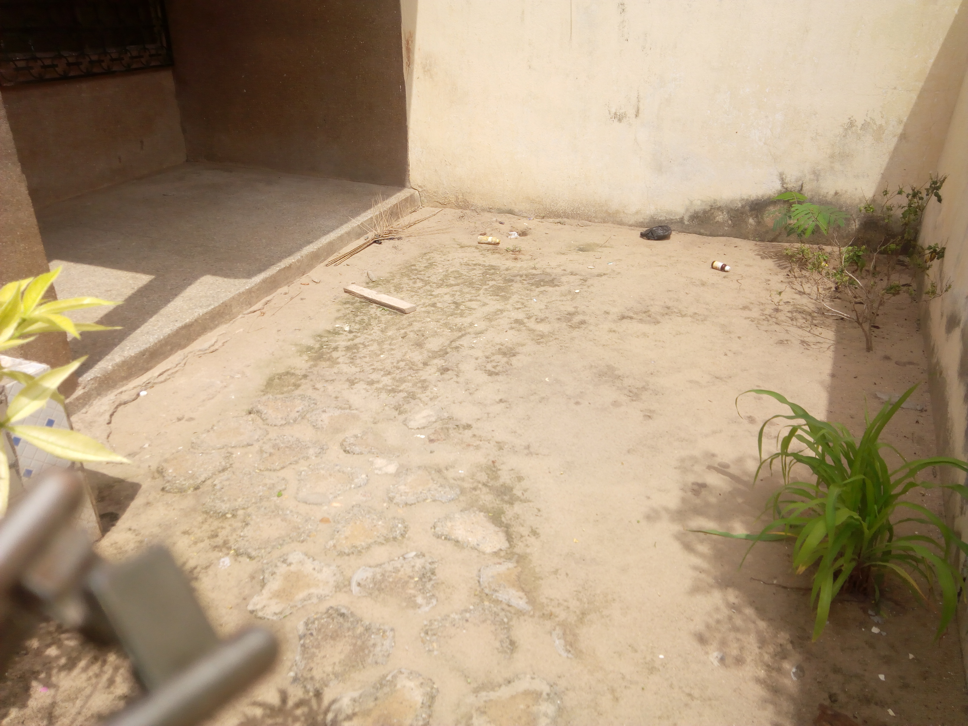 N° 4317 :
                            Appartement à louer , Djidjole, Lome, Togo : 50 000 XOF/mois