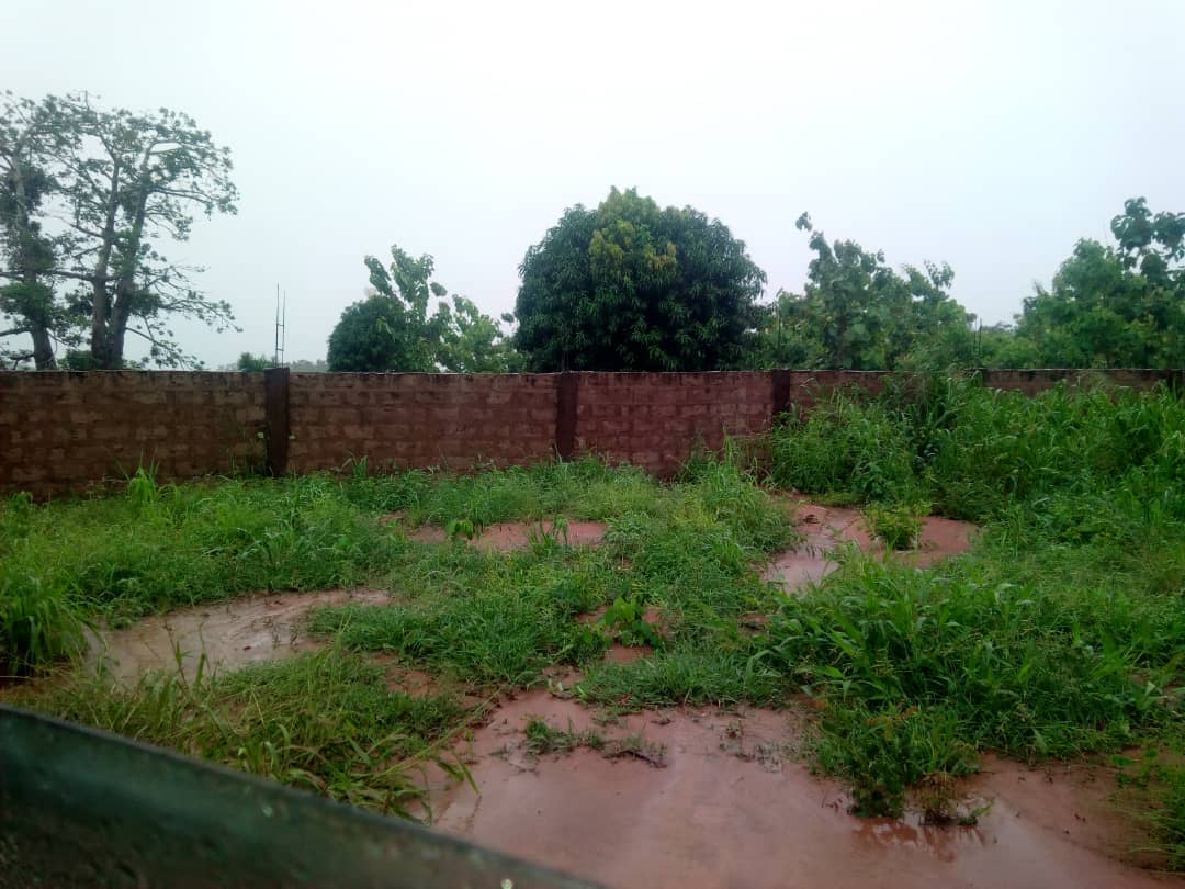 N° 4585 :
                            Terrain à vendre , Zanguera akepedo, Lomé, Togo : 6 500  000 XOF/vie