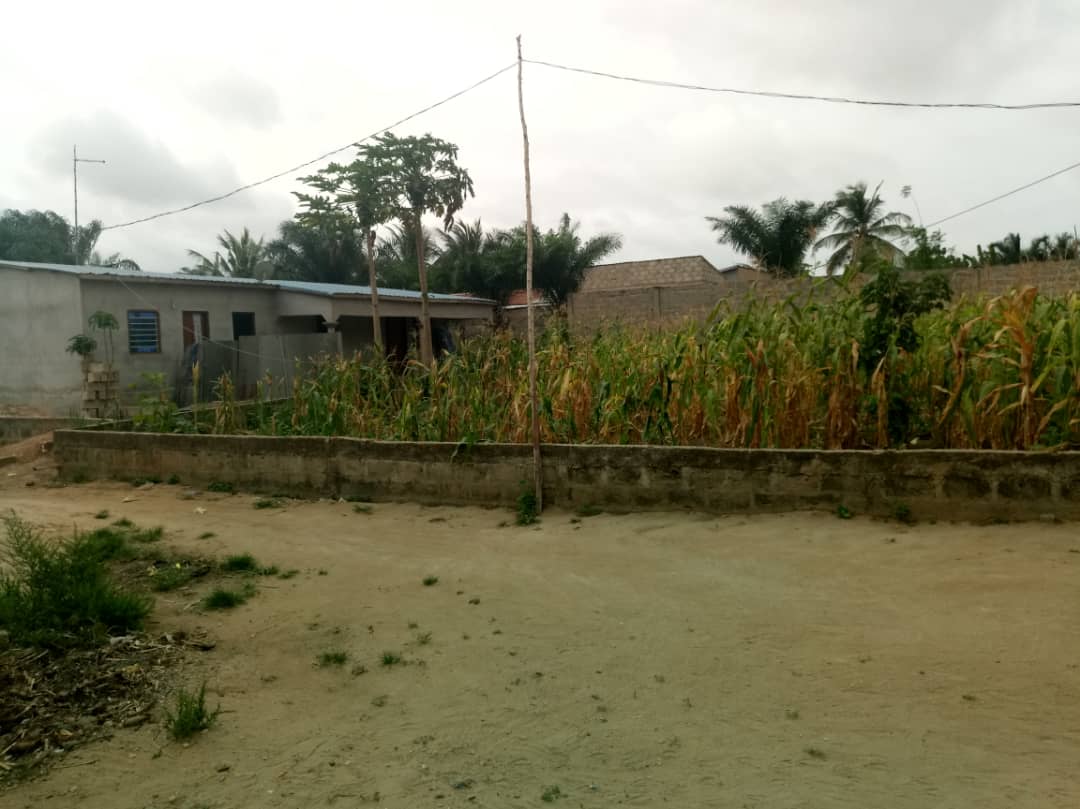 N° 4289 :
                            Terrain à vendre , Adetikope, Lome, Togo : 8 500  000 XOF/vie