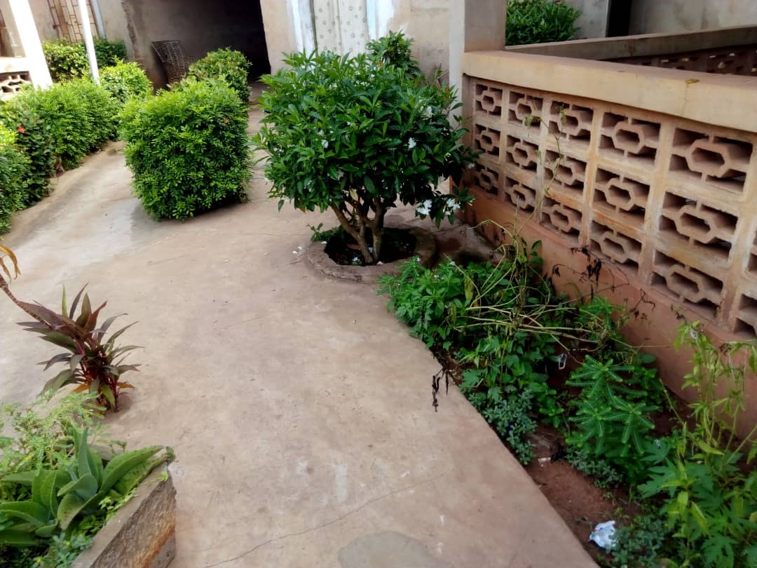 N° 4568 :
                            Chambre salon à louer , Agoe, Lome, Togo : 23 000 XOF/mois