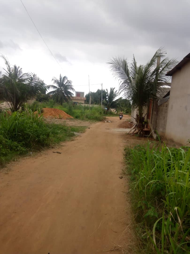 N° 4287 :
                            Terrain à vendre , Zanguera, Lome, Togo : 5 500  000 XOF/vie