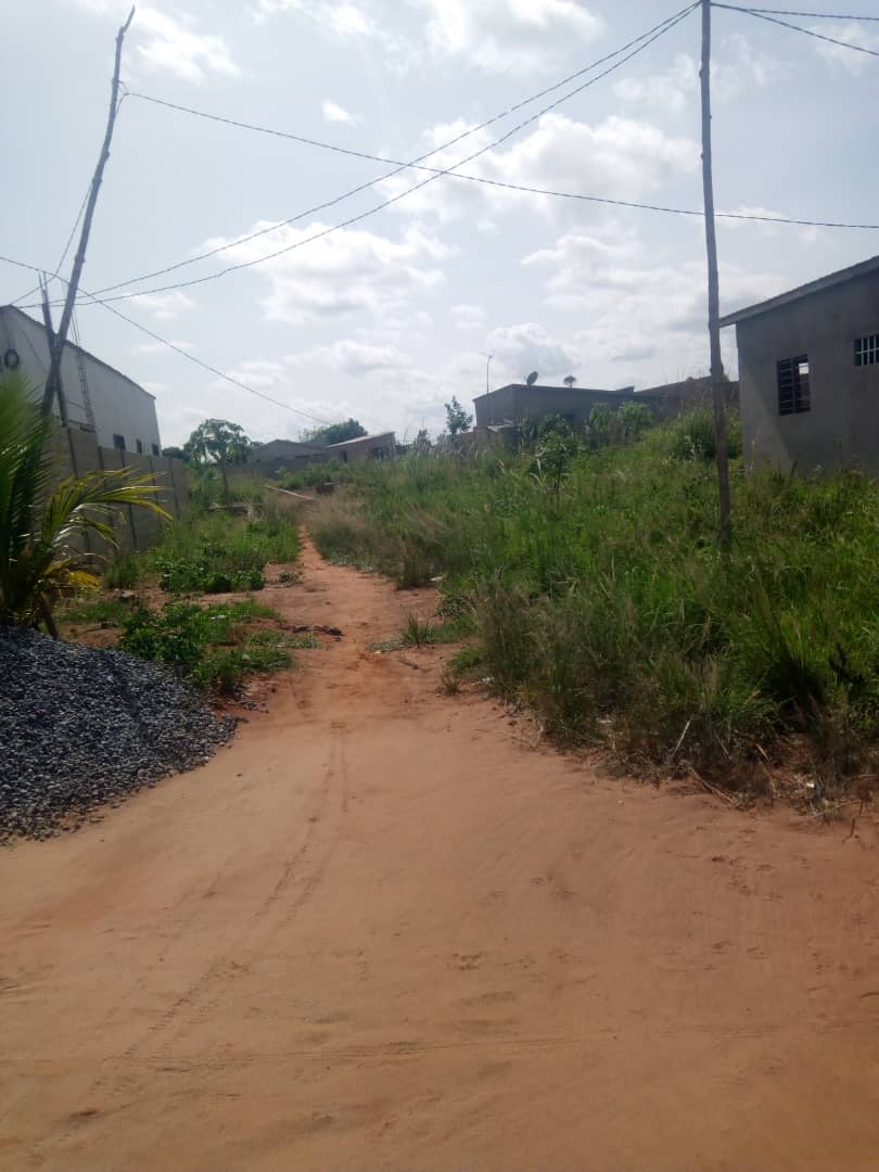 N° 4562 :
                            Terrain à vendre , Kleme agokpanou, Lome, Togo : 3 500  000 XOF/vie