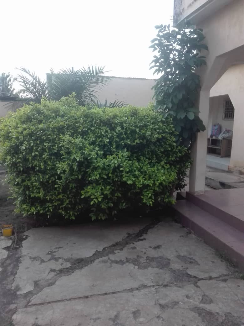 N° 4384 :
                            Villa à louer , Avenou, Lome, Togo : 100 000 XOF/mois