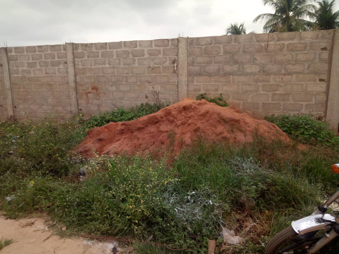 N° 4291 :
                            Terrain à vendre , Sagbado, Lome, Togo : 7 000  000 XOF/vie