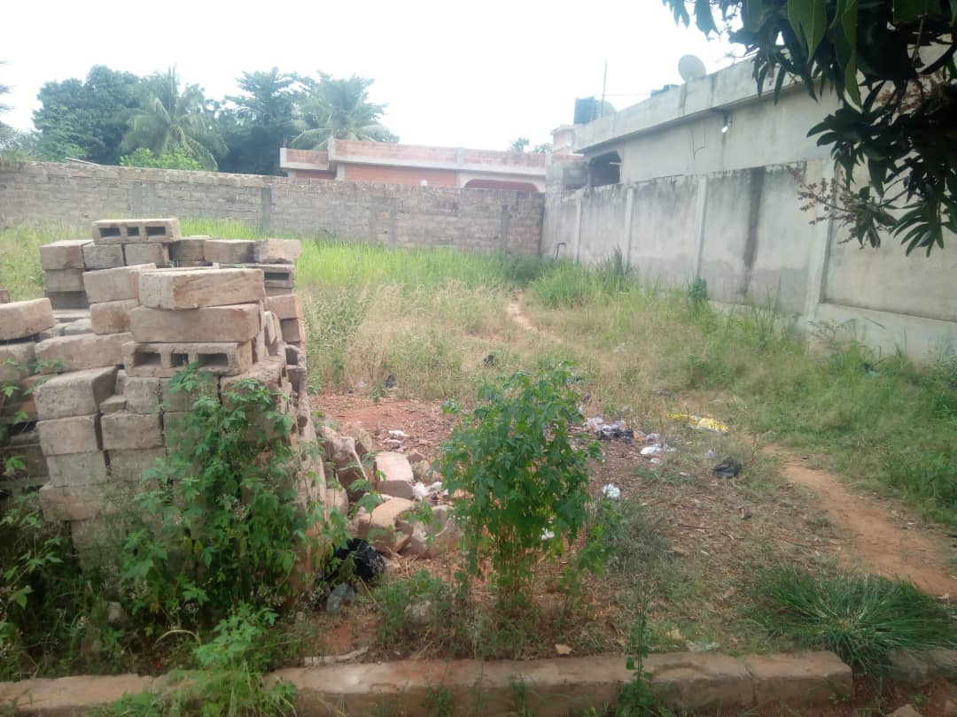 N° 4770 :
                            Terrain à vendre , Segbe klegome, Lome, Togo : 2 500  000 XOF/vie