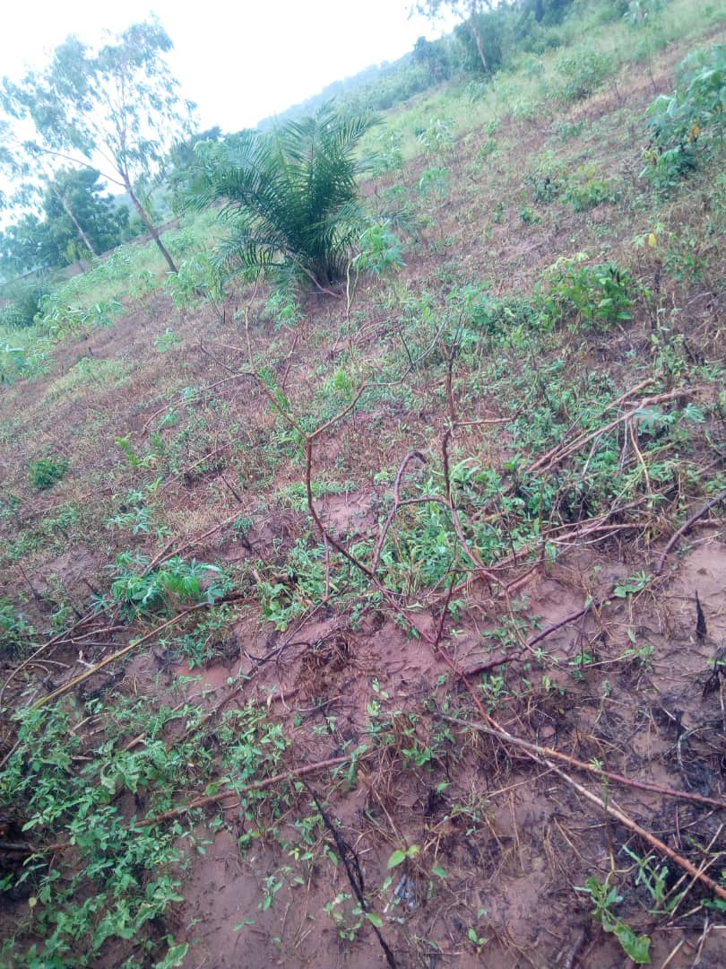 N° 4585 :
                            Terrain à vendre , Zanguera akepedo, Lomé, Togo : 6 500  000 XOF/vie