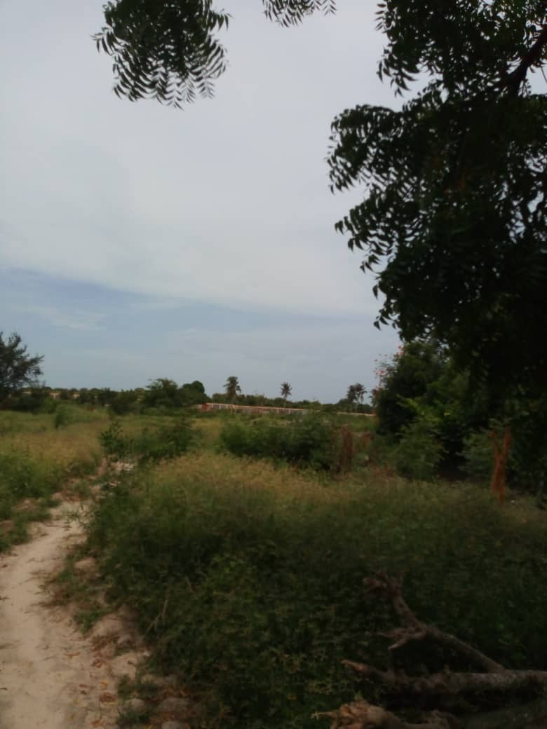 N° 4569 :
                            Terrain à vendre , Klikame, Lome, Togo : 30 000  000 XOF/vie