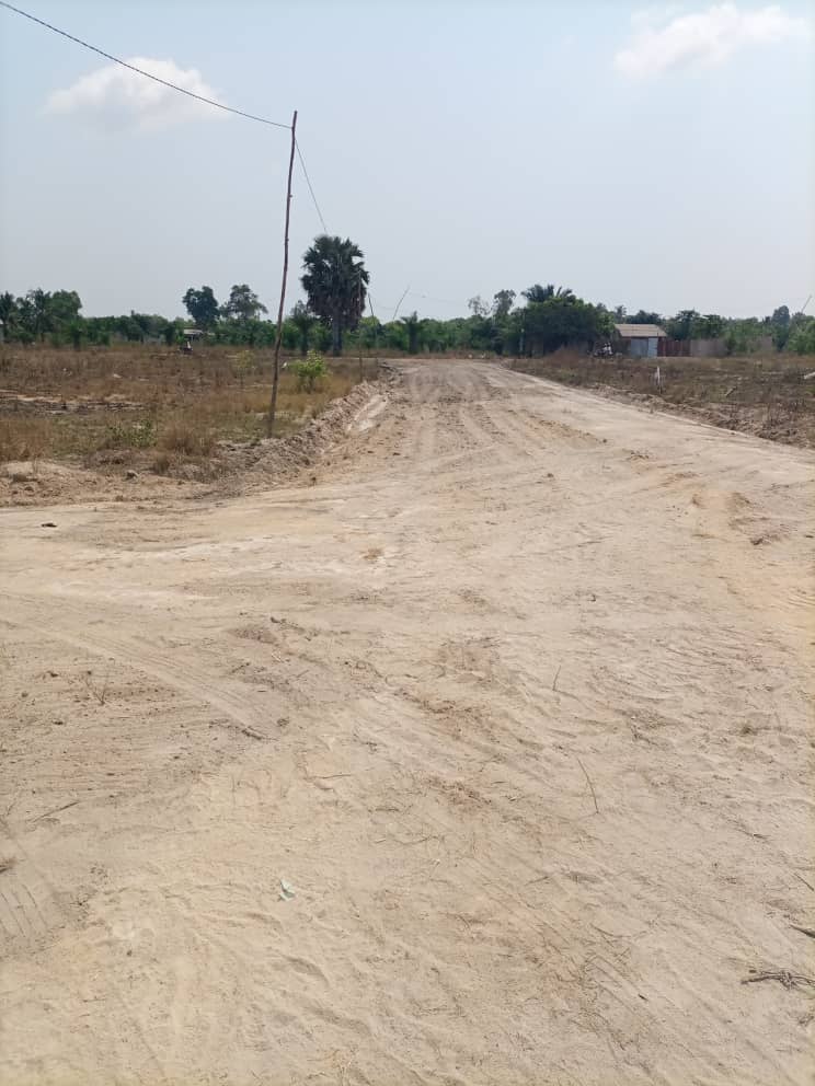 N° 5297 :
                            Terrain à vendre , Adetikope, Lome, Togo : 6 000  000 XOF/vie