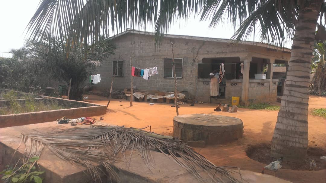 N° 4439 :
                            Terrain à vendre , Zanguera, Lome, Togo : 20 000  000 XOF/vie