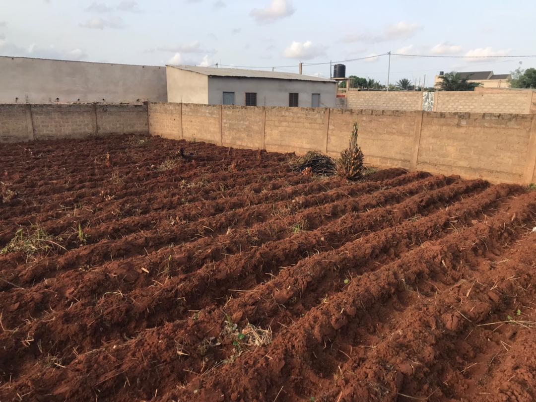 N° 5322 :
                            Terrain à vendre , Segbe, Lome, Togo : 26 000  000 XOF/vie