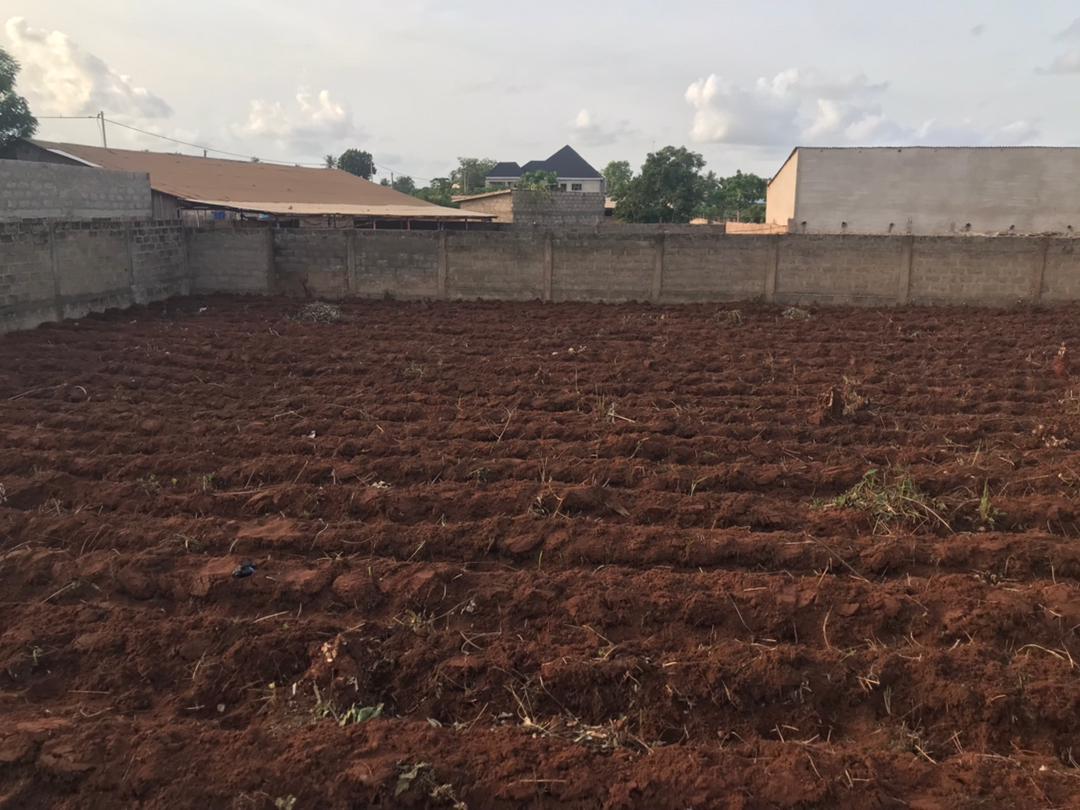 N° 5322 :
                            Terrain à vendre , Segbe, Lome, Togo : 26 000  000 XOF/vie