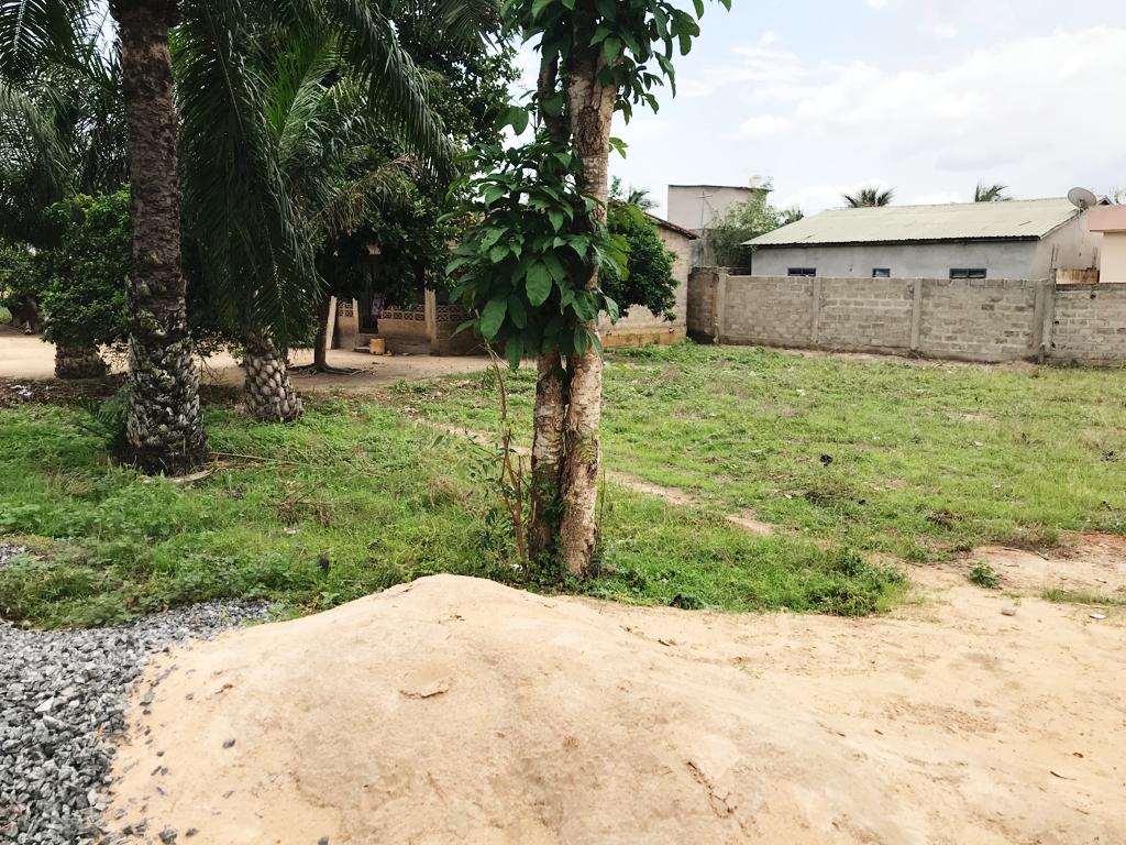 N° 5323 :
                            Terrain à vendre , Adetikope, Lome, Togo : 16 000  000 XOF/vie