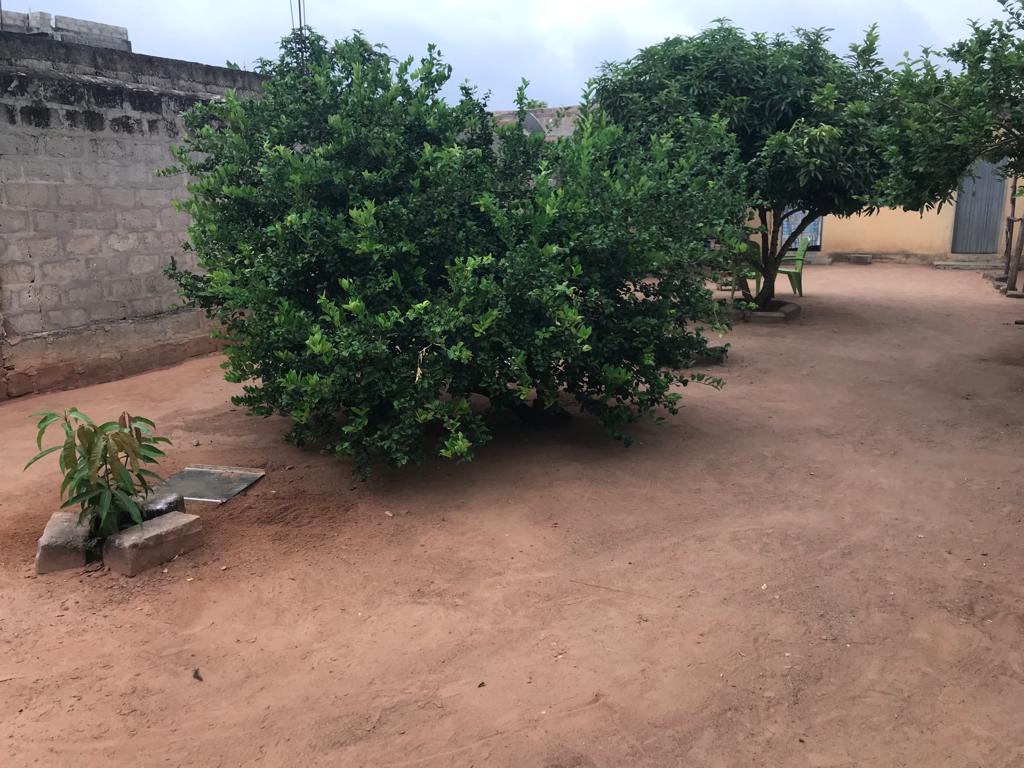 N° 5378 :
                            Terrain à vendre , Adidogome , Lome, Togo : 15 500  000 XOF/vie