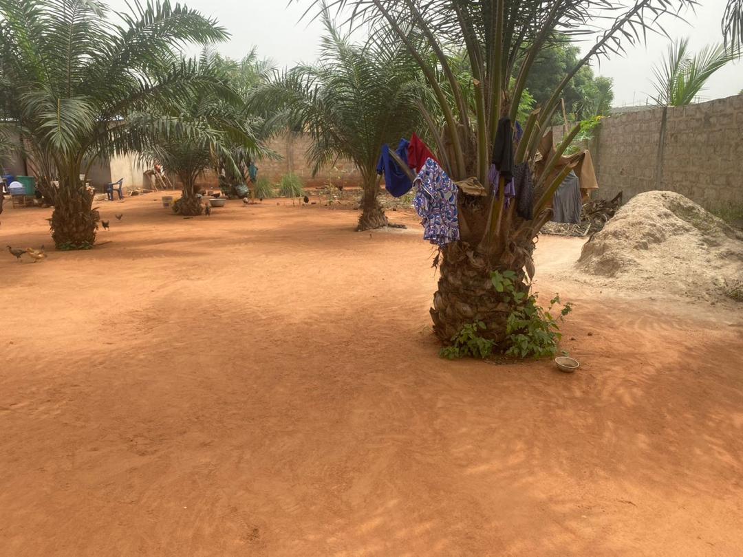 N° 5450 :
                            Terrain à vendre , Segbe , Lome, Togo : 20 000  000 XOF/vie