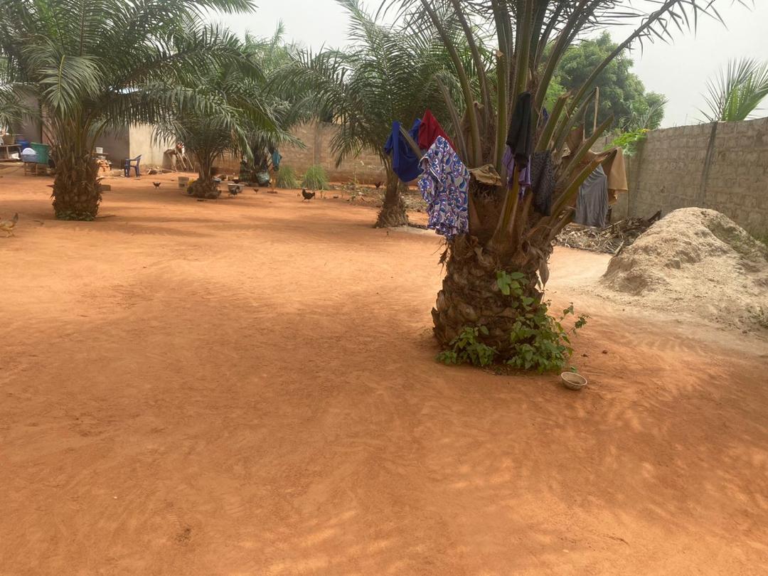 N° 5450 :
                            Terrain à vendre , Segbe , Lome, Togo : 20 000  000 XOF/vie
