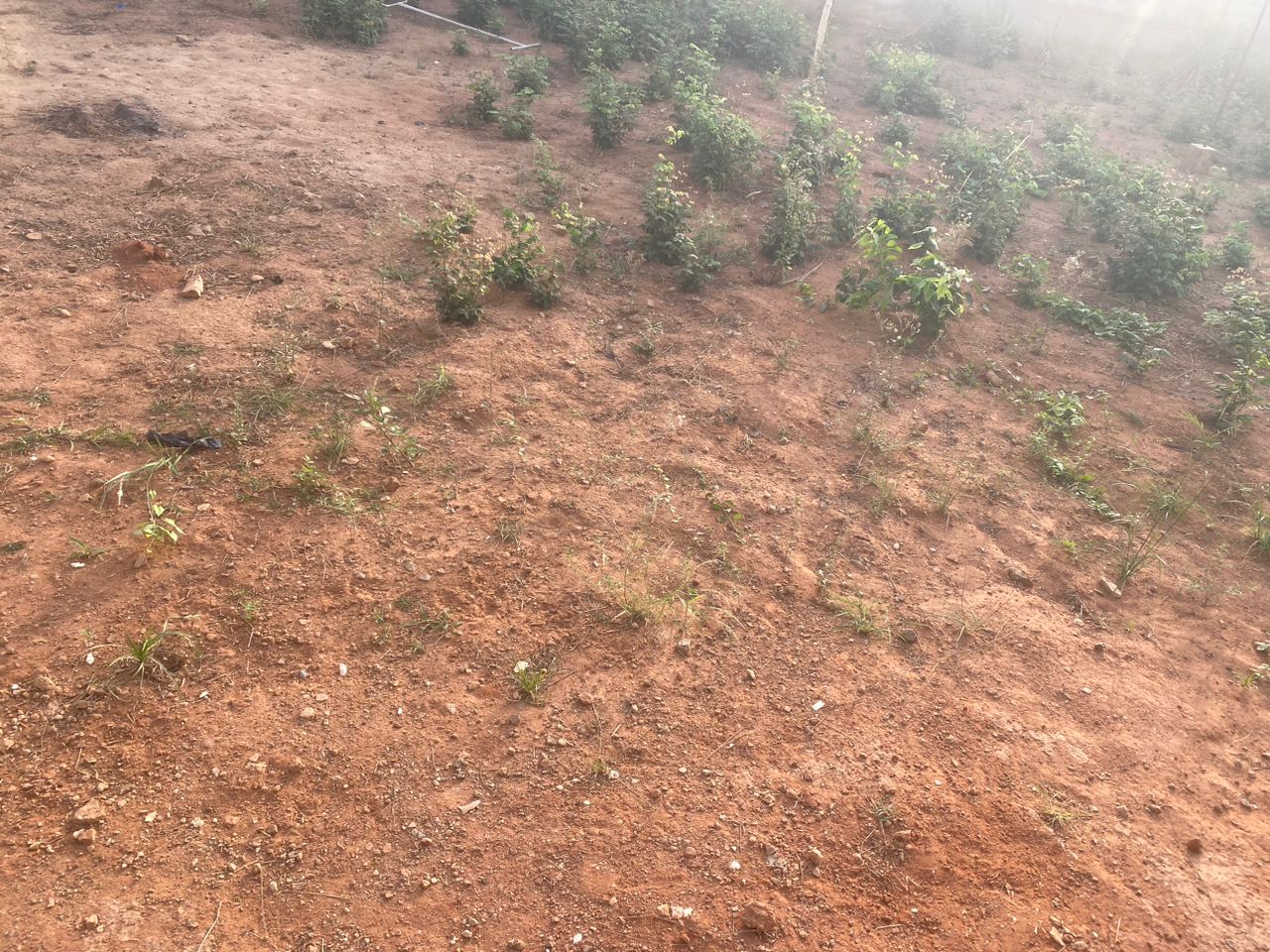 N° 5452 :
                            Terrain à vendre , Legbassito, Lome, Togo : 30 000  000 XOF/vie