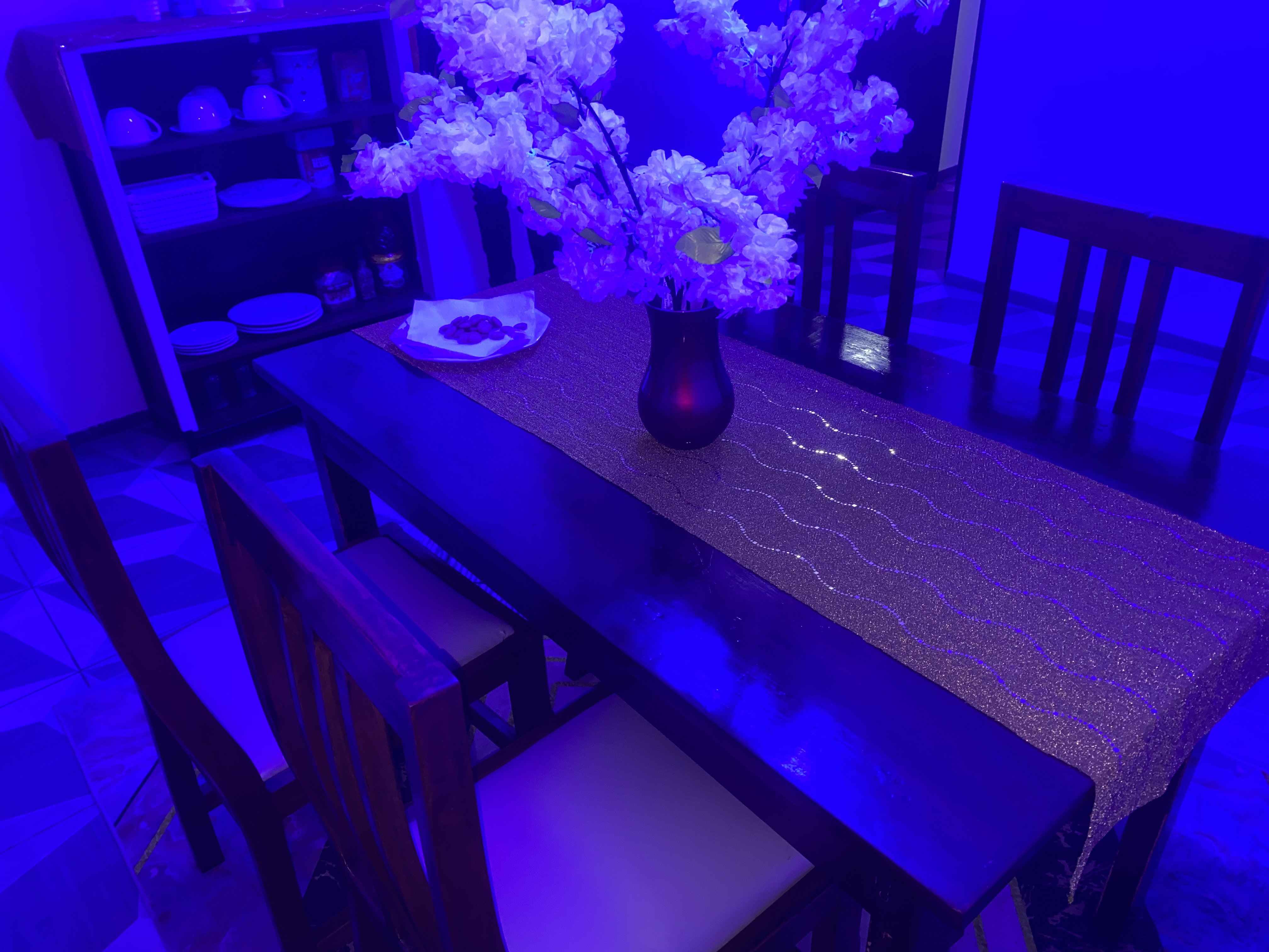N° 5422 :
                            Appartement meublé à louer , Tokoin, Lome, Togo : 450 000 XOF/mois