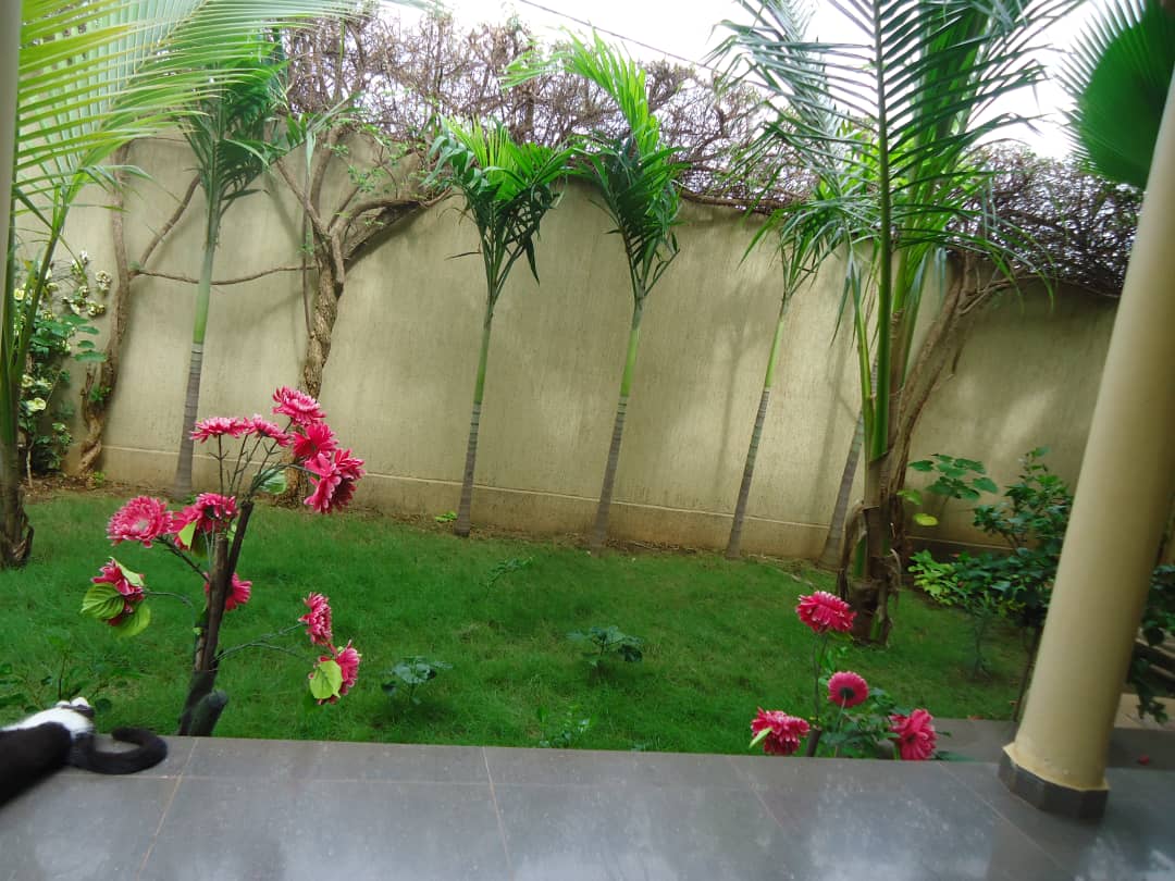 N° 4744 :
                            Villa à vendre , Leo2000, Lome, Togo : 55 000  000 XOF/vie