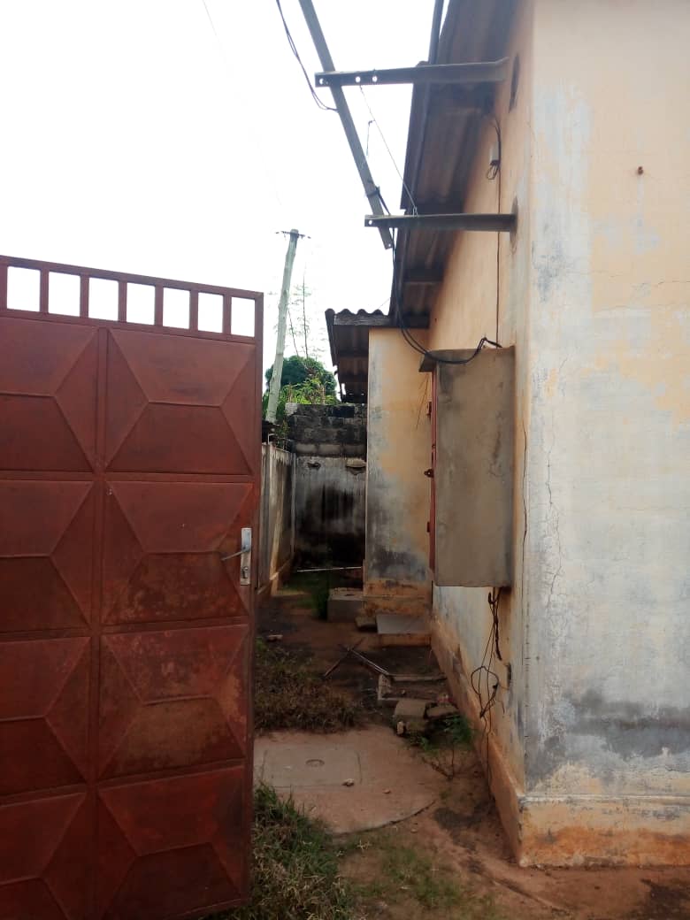 N° 4723 :
                            Maison à vendre , Hedzranawoe, Lome, Togo : 35 000  000 XOF/vie