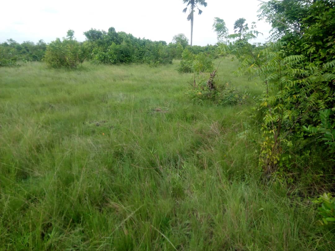 N° 4739 :
                            Terrain à vendre , Adetikope, Lomé, Togo : 4 000  000 XOF/vie