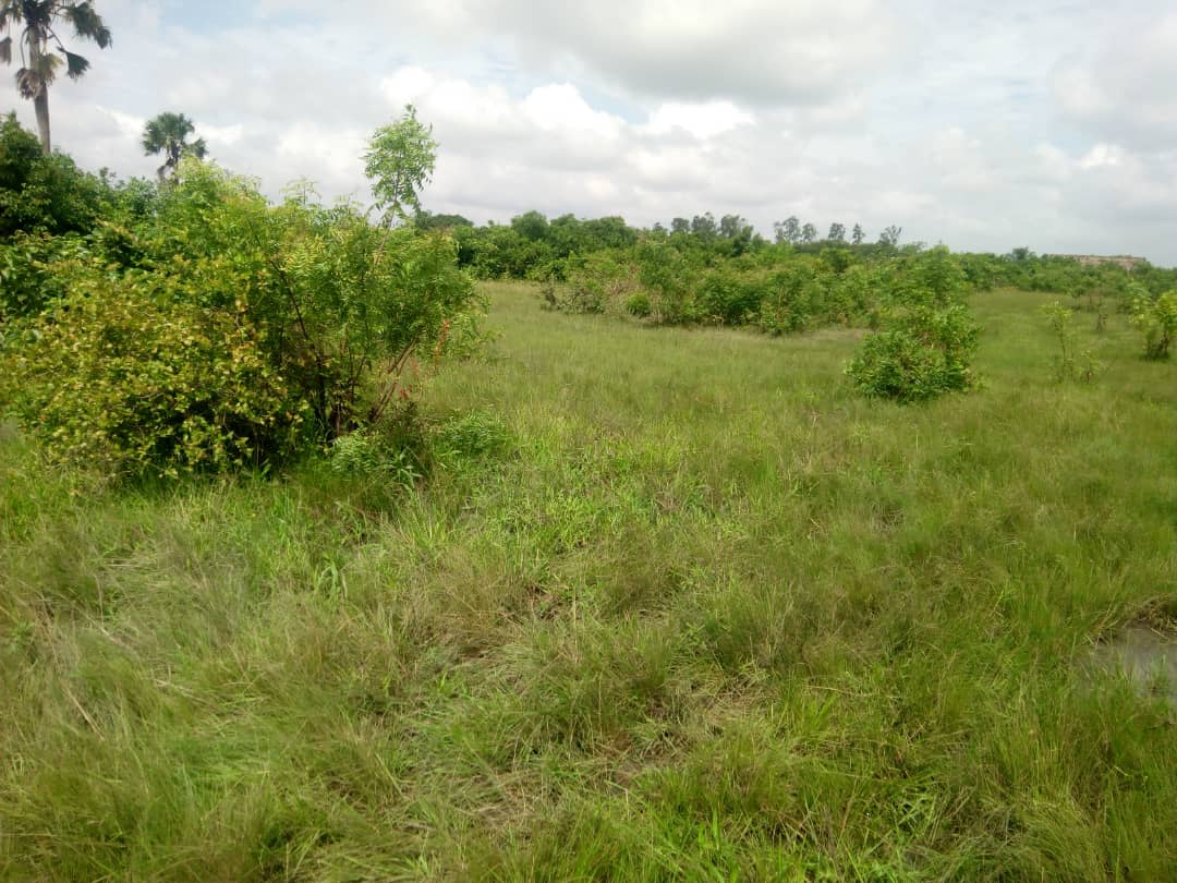 N° 4739 :
                            Terrain à vendre , Adetikope, Lomé, Togo : 4 000  000 XOF/vie