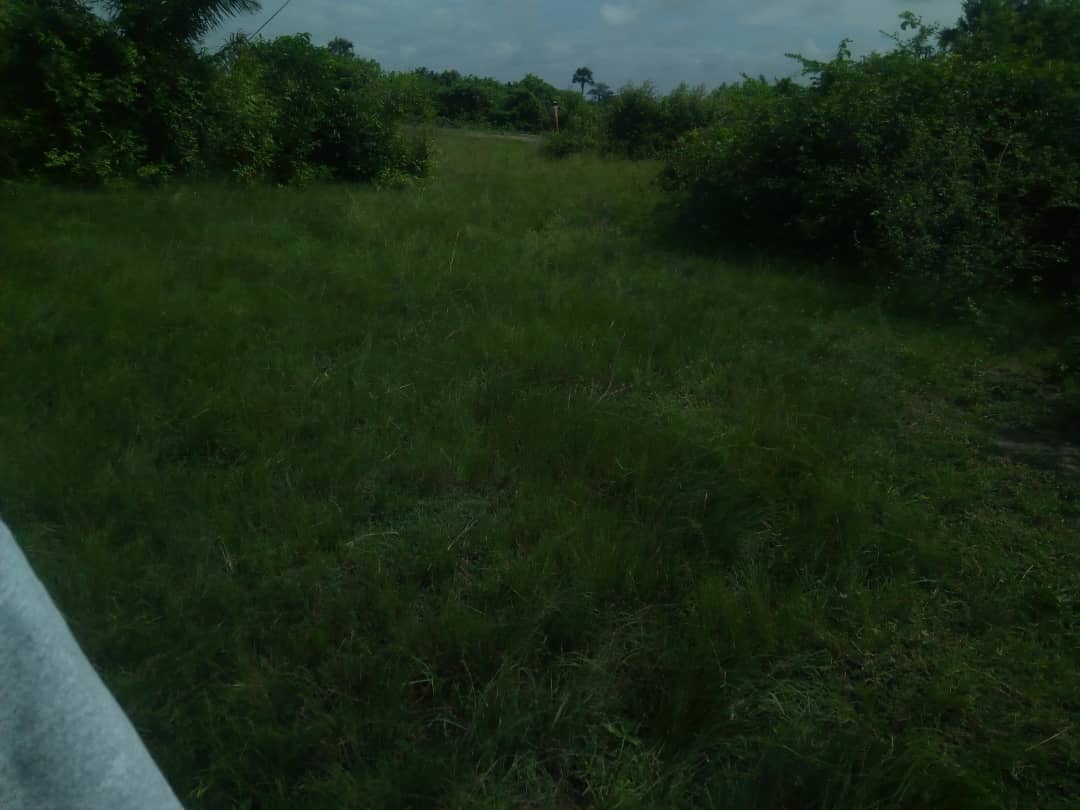N° 4739 :
                            Terrain à vendre , Adetikope, Lomé, Togo : 4 000  000 XOF/vie