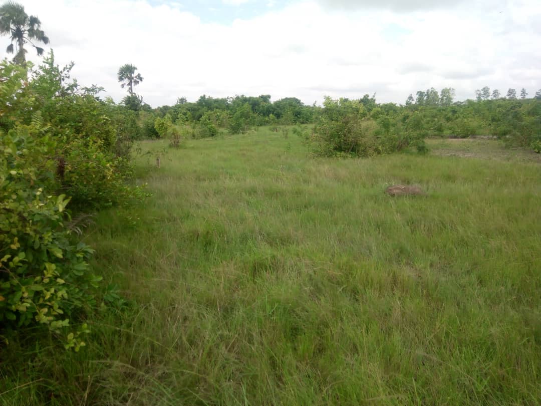 N° 4739 :
                            Terrain à vendre , Adetikope, Lomé, Togo : 4 000  000 XOF/vie