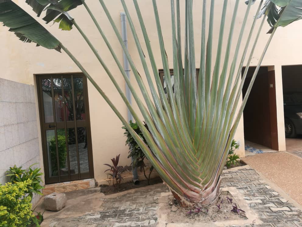 N° 4754 :
                            Villa à vendre , Agoe cacaveli, Lome, Togo : 40 000  000 XOF/vie