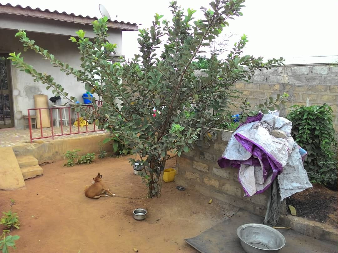 N° 4782 :
                            Villa à vendre , Zanguera, Lome, Togo : 15 000  000 XOF/vie