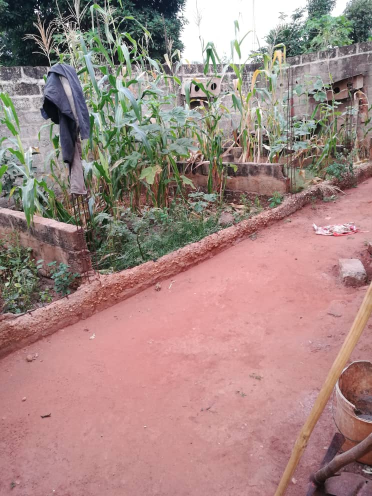 N° 4792 :
                            Villa à vendre , Agoe, Lome, Togo : 32 000  000 XOF/vie