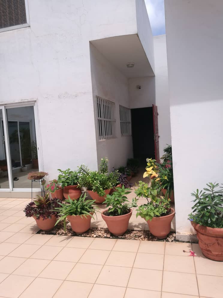 N° 4856 :
                            Villa à vendre , Agoe, Lome, Togo : 200 000  000 XOF/vie